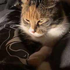 Фото отзыва 11008422