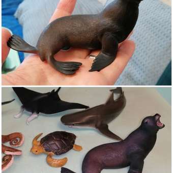 Фигурка Collecta Морской лев: отзыв пользователя Детский Мир