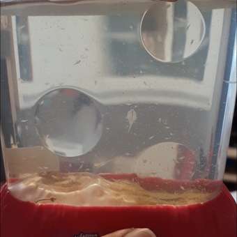 Набор Аквариум Sea-Monkeys Для выращивания ракообразных вида Artemia Salina: отзыв пользователя. Зоомагазин Зоозавр