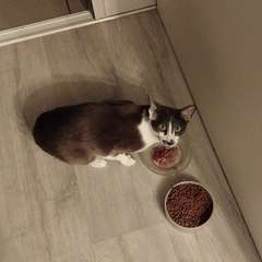 Фото отзыва 11030765