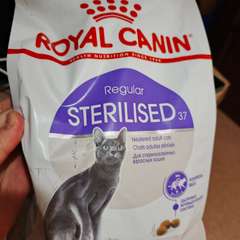 Фото отзыва 11081256