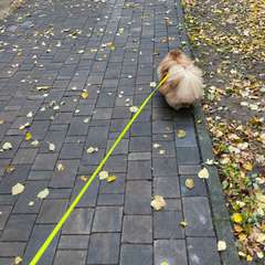 Фото отзыва 10503327