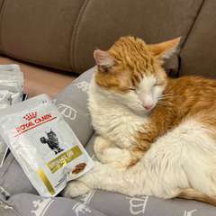 Фото отзыва 10695626