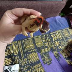 Фото отзыва 10833305