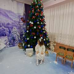 Фото отзыва 10932760