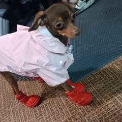 Фото отзыва 10699752