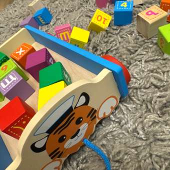 Игрушка Alatoys каталка Тигр в ассортименте: отзыв пользователя Детский Мир