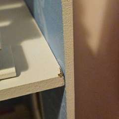 Фото отзыва 10752592