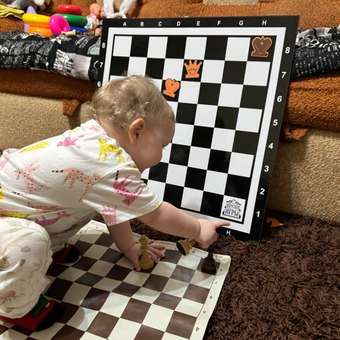 Настольная игра Sima-Land Шахматы: отзыв пользователя Детский Мир