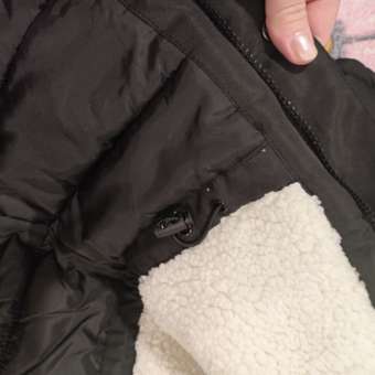 Пальто Acoola: отзыв пользователя Детский Мир