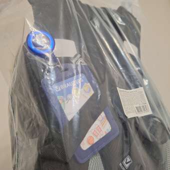 Ранец Brauberg: отзыв пользователя Детский Мир