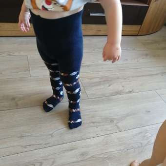 Колготки для мальчиков Calzini: отзыв пользователя Детский Мир