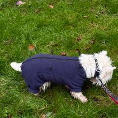 Фото отзыва 10584800