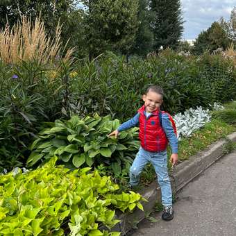 Кроссовки Indigo kids: отзыв пользователя Детский Мир