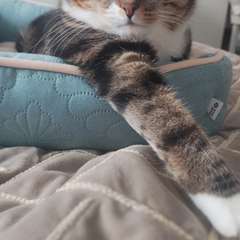 Фото отзыва 10939361