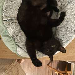 Фото отзыва 10833272