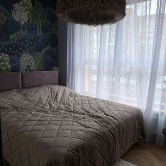 Коврик комнатный FUTURINO Home Такса: отзыв пользователя Детский Мир