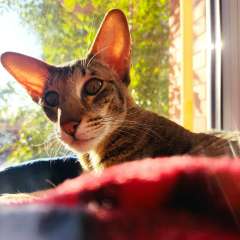 Фото отзыва 10698006