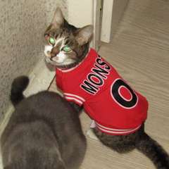 Фото отзыва 11085096