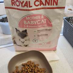 Фото отзыва 10940683