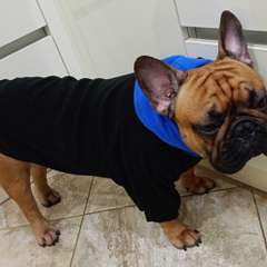 Фото отзыва 8273603