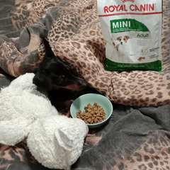 Фото отзыва 10788104