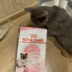 Фото отзыва 10337036