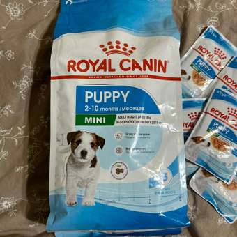 Корм для щенков ROYAL CANIN Puppy мелких пород 2кг: отзыв пользователя. Зоомагазин Зоозавр