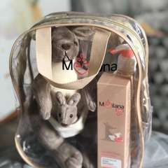 Фото отзыва 10627260