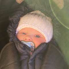 Фото отзыва 10958209