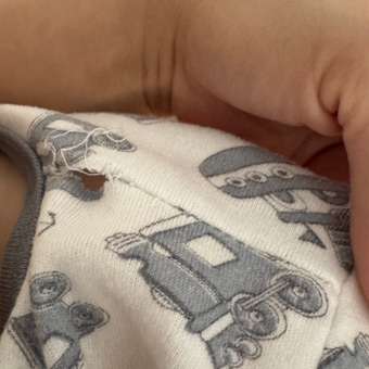 Комбинезон Рыжик: отзыв пользователя Детский Мир