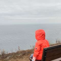 Фото отзыва 10562222