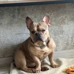 Фото отзыва 11185179