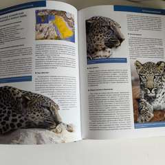 Фото отзыва 11097356