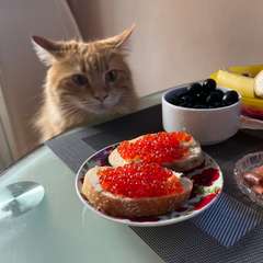 Фото отзыва 10601065