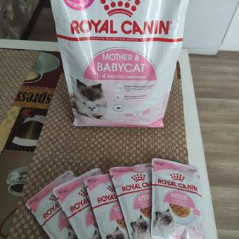 Корм сухой для котят ROYAL CANIN Mother and Babycat 2кг: отзыв пользователя. Зоомагазин Зоозавр