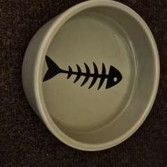 Фото отзыва 11098853