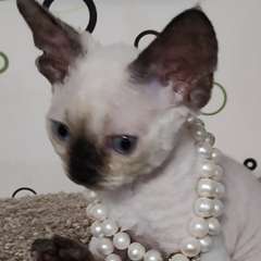 Фото отзыва 11097373