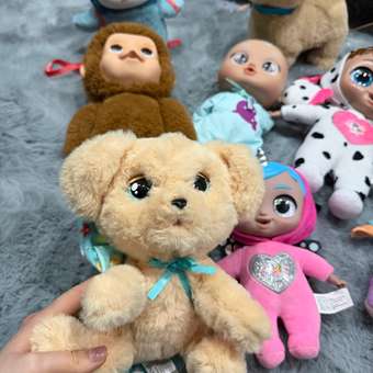 Мягкая игрушка BABY PAWS Лабрадор: отзыв пользователя Детский Мир