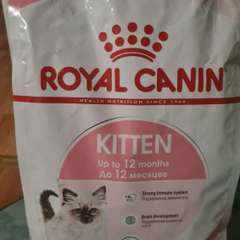 Фото отзыва 10560974