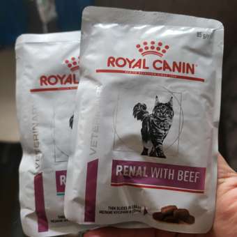 Корм для кошек ROYAL CANIN Renal with beef для поддержания функции почек 85г: отзыв пользователя. Зоомагазин Зоозавр