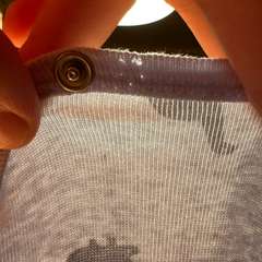 Фото отзыва 10537577