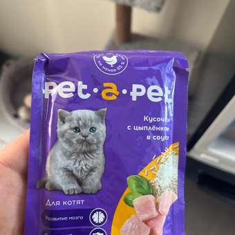 Корм для котят Pet-a-Pet 85г Кусочки с цыпленком в соусе: отзыв пользователя. Зоомагазин Зоозавр