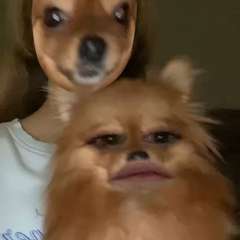 Видео отзыва 10748973