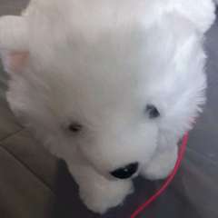 Видео отзыва 10765560