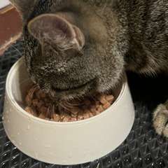 Фото отзыва 10583655