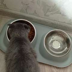 Фото отзыва 10545947