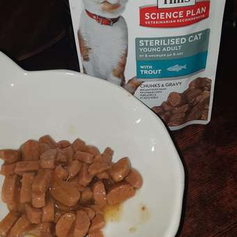 Корм влажный для кошек HILLS 85г Science Plan Sterilised Cat с форелью для стерилизованных от 6 месяцев пауч: отзыв пользователя. Зоомагазин Зоозавр