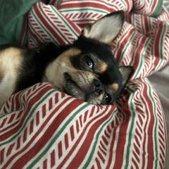 Фото отзыва 10888130