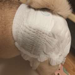 Фото отзыва 10740413